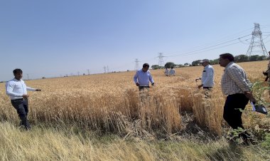 फसल उत्पादकता का आंकलन, रवी की फसल का सही उत्पादन का आंकड़ा सरकार को प्रेषित किया जाय । डीएम