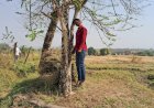 युवक ने लगाई फांसी, कारण अज्ञात