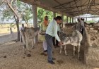 जिलाधिकारी ने गौशाला का किया औचक निरीक्षण, अधिकारियों को दिए आवश्यक निर्देश
