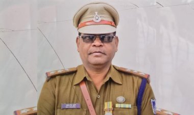 उज्जैन में मधुमक्खियों का भयानक हमला, पुलिसकर्मियों पर टूट पड़ीं, इंस्पेक्टर की मौत, कई घायल