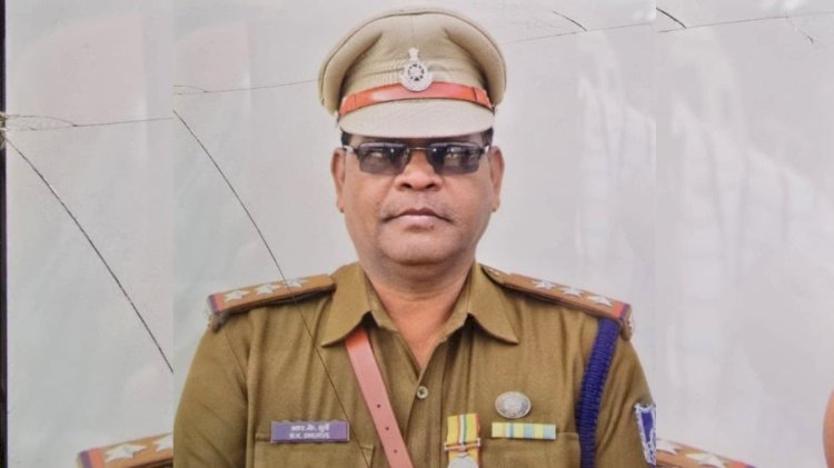 उज्जैन में मधुमक्खियों का भयानक हमला, पुलिसकर्मियों पर टूट पड़ीं, इंस्पेक्टर की मौत, कई घायल
