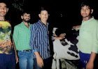 कन्नौज जिले के नगला मधई गांव में बजरंग सेवादल संगठन के गौ सेवक अचल सिंह भदौरिया ने जख्मी गौ वंश का किया उपचार गौ वंश की स्थिति काफी दयनीय