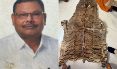 टाइगर की खाल से लेकर करोड़ों की संपत्ति तक: छापे में सरकारी अफसर निकला 'धनकुबेर' , EOW की छापेमारी में अकूत दौलत का खुलासा