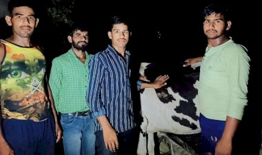 कन्नौज जिले के नगला मधई गांव में बजरंग सेवादल संगठन के गौ सेवक अचल सिंह भदौरिया ने जख्मी गौ वंश का किया उपचार गौ वंश की स्थिति काफी दयनीय