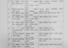 देर रात पुलिस विभाग में बड़ा फेरबदल, 9 आईपीएस अफसरों का तबादला, देखें लिस्ट