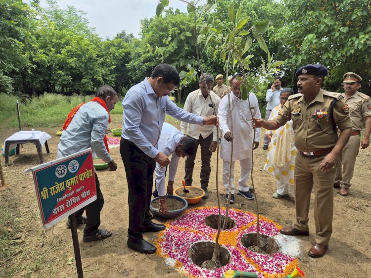 “एक पेड़ मां के नाम” अभियान के तहत जिलाधिकारी व पुलिस अधीक्षक ने किया हरिशंकरी पौधरोपण,   जनपद में 10 हजार से अधिक स्थलों पर लगाए गए हरिशंकरी पौधे