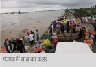 पंजाब आपदा प्रभावित राज्य घोषित: 1400 से अधिक गांव बाढ़ग्रस्त, लाखों एकड़ फसल बर्बाद