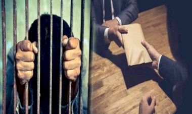 रिश्वत मामले में पटवारी को मिली 3 साल की जेल,नामांतरण की ऑनलाइन इंट्री के लिए 2500 रुपये रिश्वत मांगी थी।