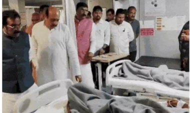 दर्दनाक हादसा : हाईटेंशन लाइन से टकराया विसर्जन जुलूस का वाहन, करंट की चपेट में आकर दो की मौत, 10 घायल