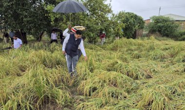 बारिश के बीच खेतों में पहुंचकर लिया फसलों के नुकसान का जायजा, जिलाधिकारी ने अधीनस्थों को दिए त्वरित सर्वे के निर्देश