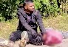 सिरफिरे आशिक ने सरेराह युवती का रेता गला, फिर गोद में रखा सिर, मोबाइल पर वीडियो बनाते रहे लोग , हिरासत में आरोपी