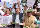 MP विधानसभा में बच्चोंं की मौत और किसानों को लेकर कांग्रेस का हंगामा: हाथों में खेत का मॉडल और चिड़िया के पुतले लेकर पहुंचे कांग्रेस विधायक