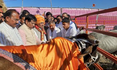 दास्ताखेड़ी में नवनिर्मित नंदी गौशाला का लोकार्पण: आष्टा विधायक गोपालसिंह इंजीनियर ने किया पूजन