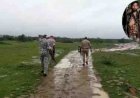 चंबल के बीहड़ों में फिर बढ़ा डकैत कल्ली गुर्जर का खौफ, 8 थानों की पुलिस 15 दिन से जंगलों में कर रही सर्चिंग