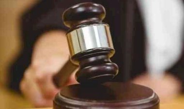 एमपी में 9 साल बाद छात्रसंघ चुनाव का रास्ता साफ: सितंबर में होंगे इलेक्शन, हाईकोर्ट की सख्ती के बाद सरकार ने दिया आश्वासन