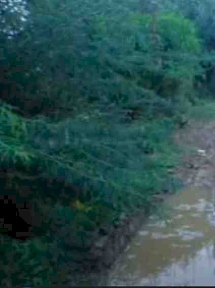 कुईया झोर मजरे को संपर्क मार्ग से जोड़ने की दिशा में जिलाधिकारी ने अधिकारियों को दिए आवश्यक निर्देश