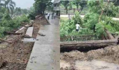 भोपाल में बड़ा हादसा: भारी बारिश के बाद कोलार में धंसी सड़क, जमीन में समाईं कई गाड़ियां; लोगों में दहशत
