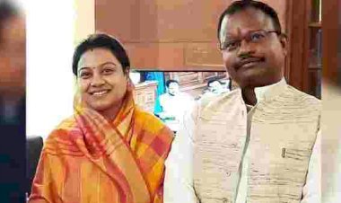BJP सांसद हिमाद्री सिंह और नरेंद्र मरावी का 9 साल पुराना रिश्ता खत्म, आपसी सहमति से तलाक; 5 साल अलग रहने के बाद कोर्ट का फैसला